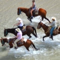 Experience the Thrill of Horseback Riding in Rocky Point and Puerto Penasco